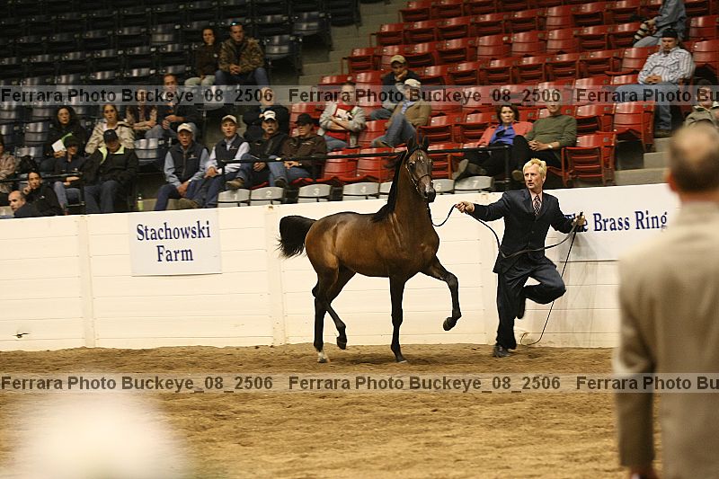 Proof Number buckeye_08_2506