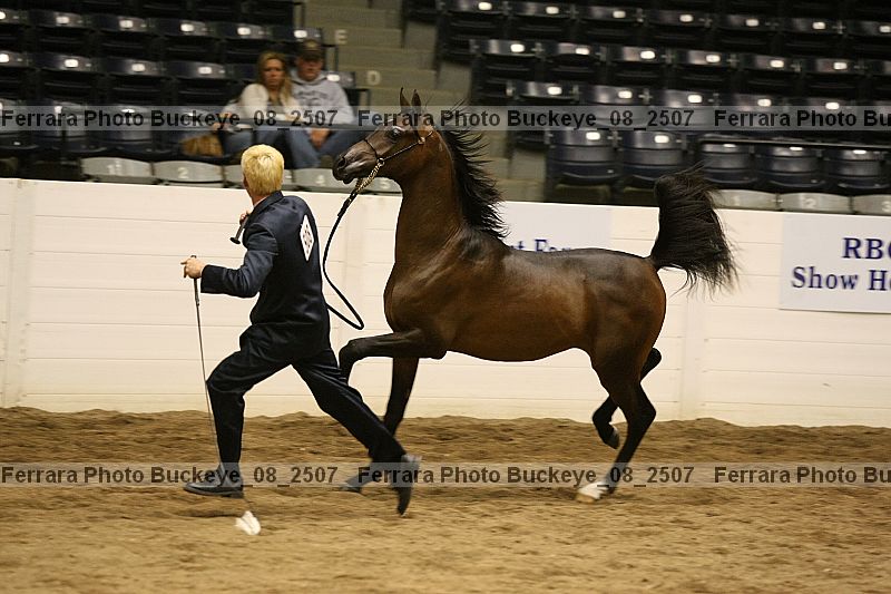 Proof Number buckeye_08_2507