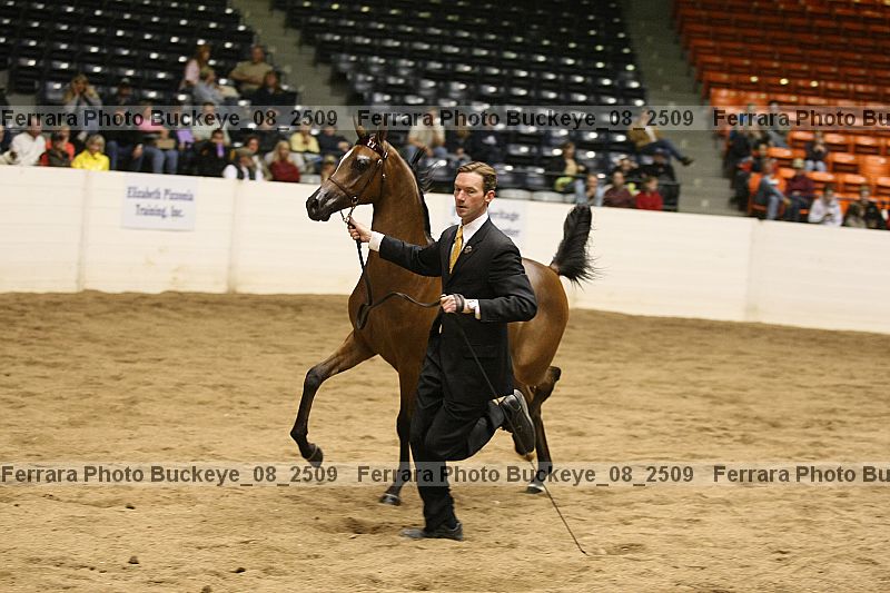 Proof Number buckeye_08_2509