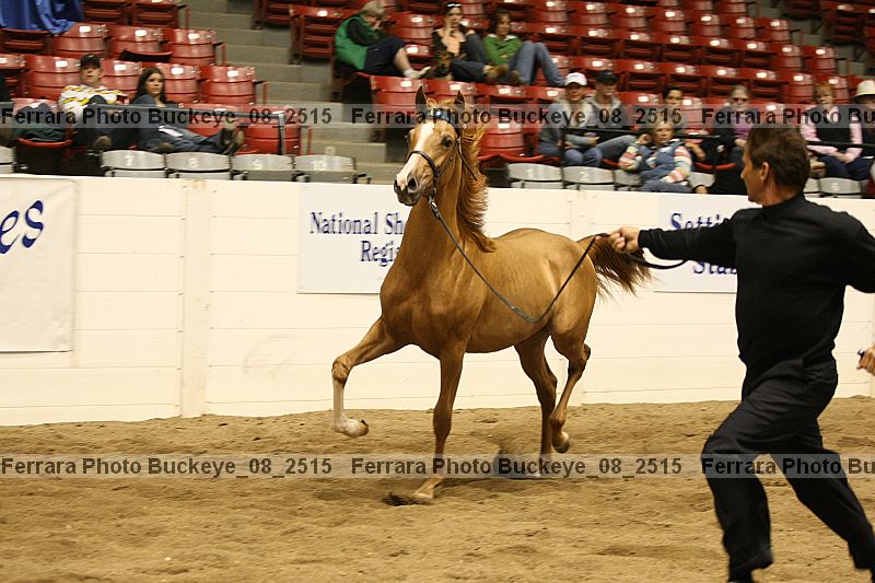 Proof Number buckeye_08_2515