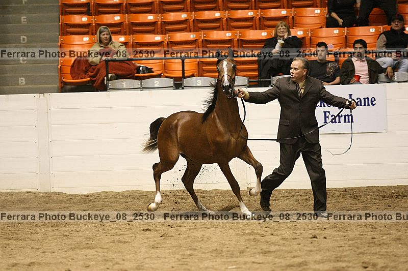 Proof Number buckeye_08_2530