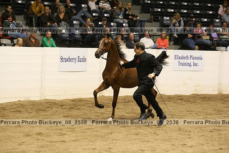Proof Number buckeye_08_2538