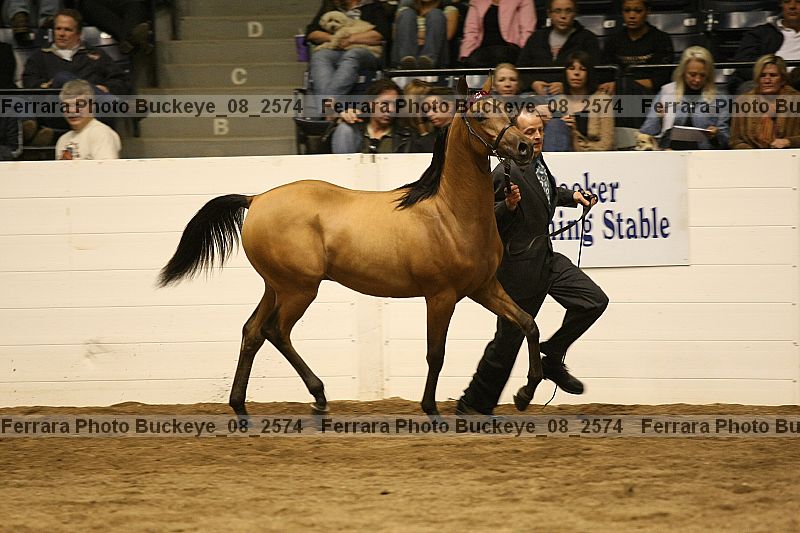 Proof Number buckeye_08_2574