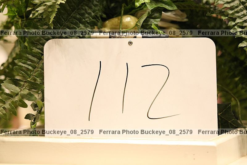 Proof Number buckeye_08_2579
