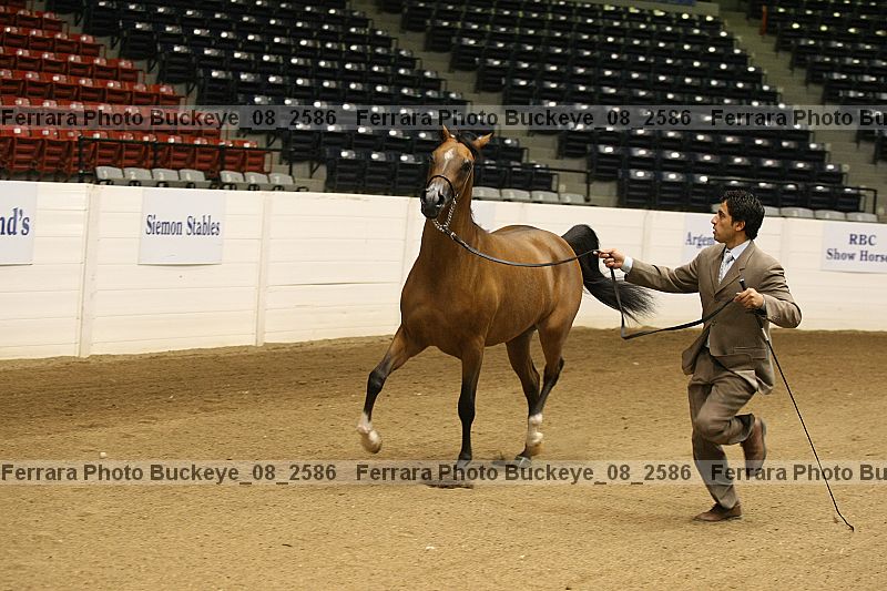 Proof Number buckeye_08_2586