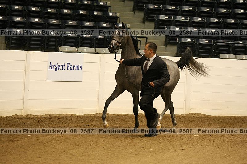 Proof Number buckeye_08_2587