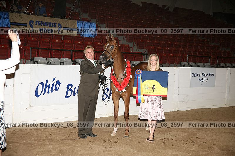 Proof Number buckeye_08_2597
