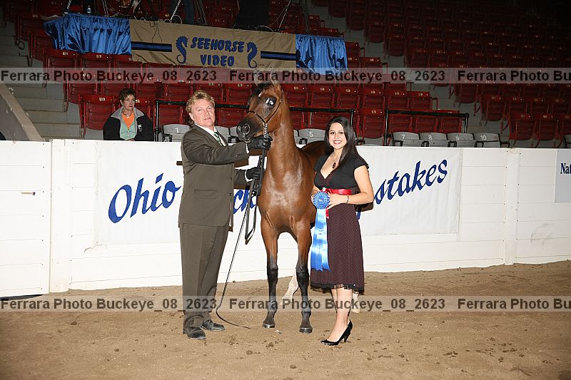 Proof Number buckeye_08_2623