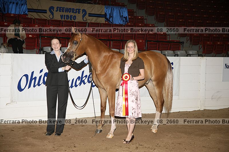Proof Number buckeye_08_2660