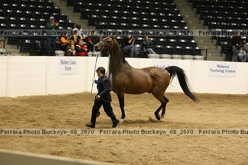 Proof Number buckeye_08_2670