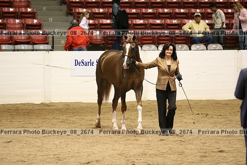 Proof Number buckeye_08_2674