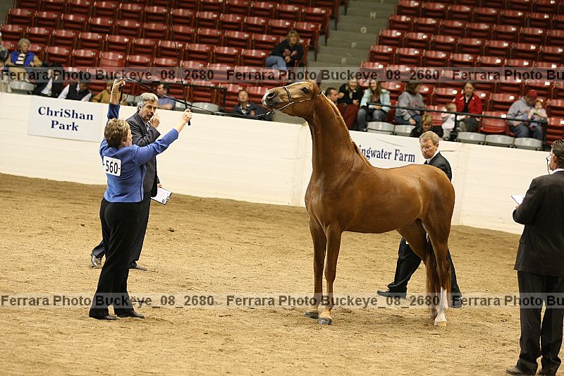 Proof Number buckeye_08_2680