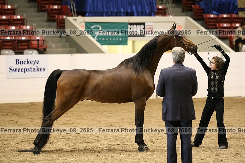 Proof Number buckeye_08_2685