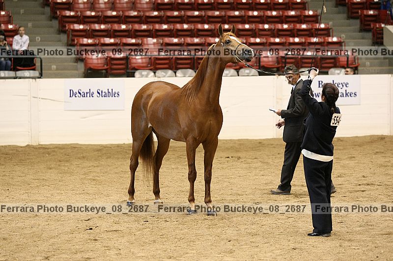 Proof Number buckeye_08_2687