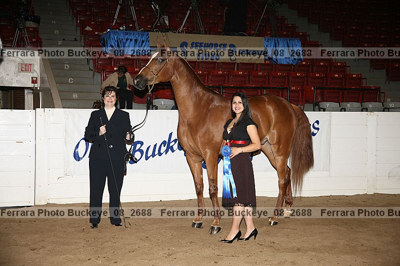 Proof Number buckeye_08_2688