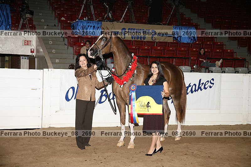 Proof Number buckeye_08_2690