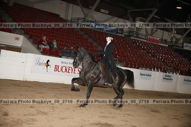 Proof Number buckeye_08_2719