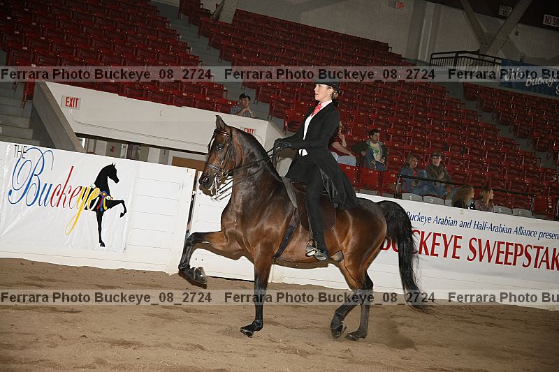 Proof Number buckeye_08_2724