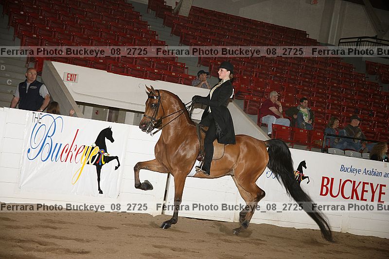 Proof Number buckeye_08_2725