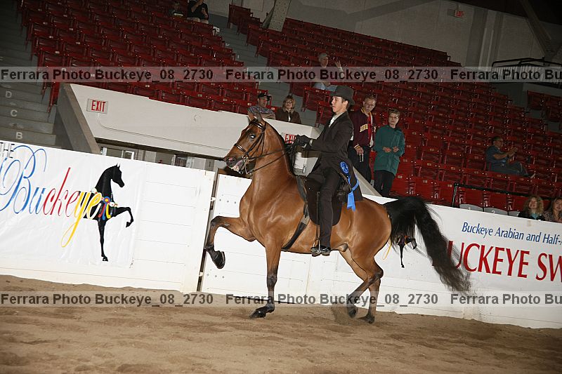 Proof Number buckeye_08_2730