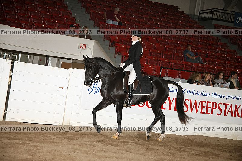 Proof Number buckeye_08_2733