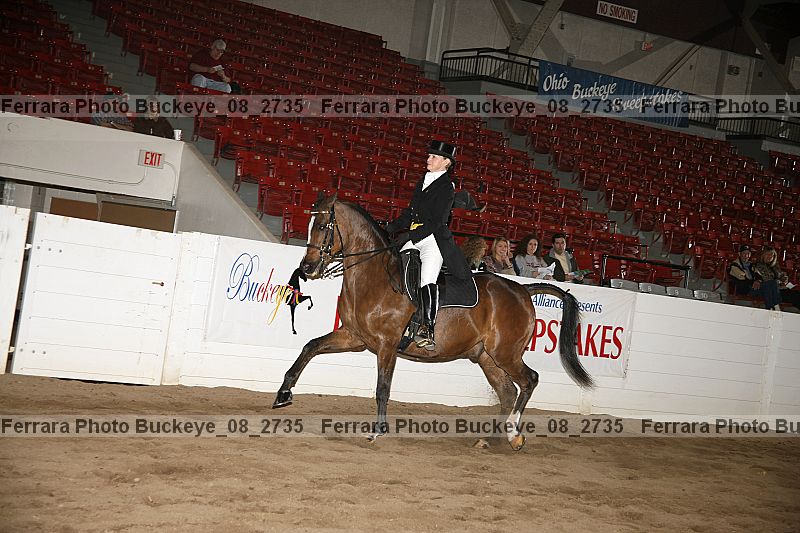 Proof Number buckeye_08_2735
