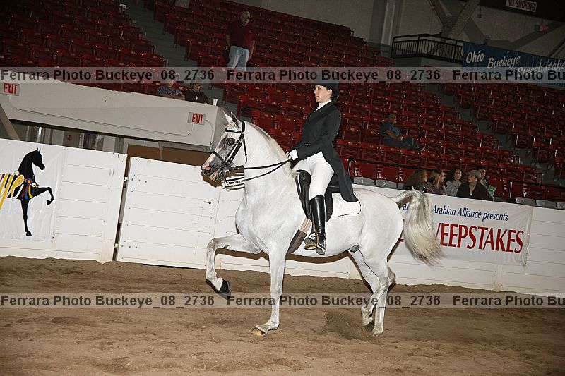 Proof Number buckeye_08_2736