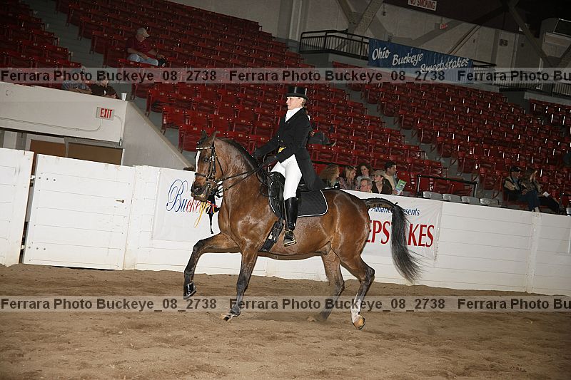 Proof Number buckeye_08_2738