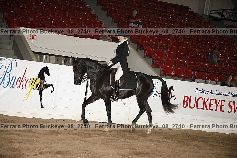 Proof Number buckeye_08_2740