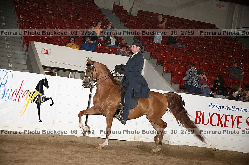 Proof Number buckeye_08_2759