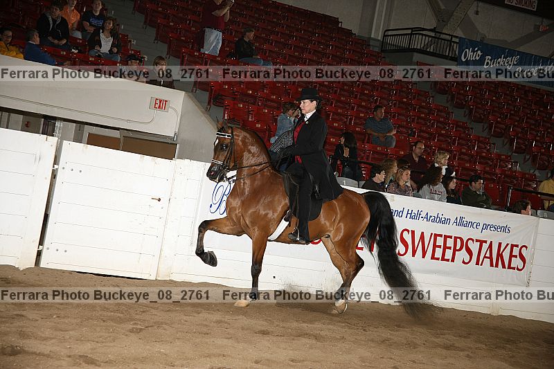 Proof Number buckeye_08_2761