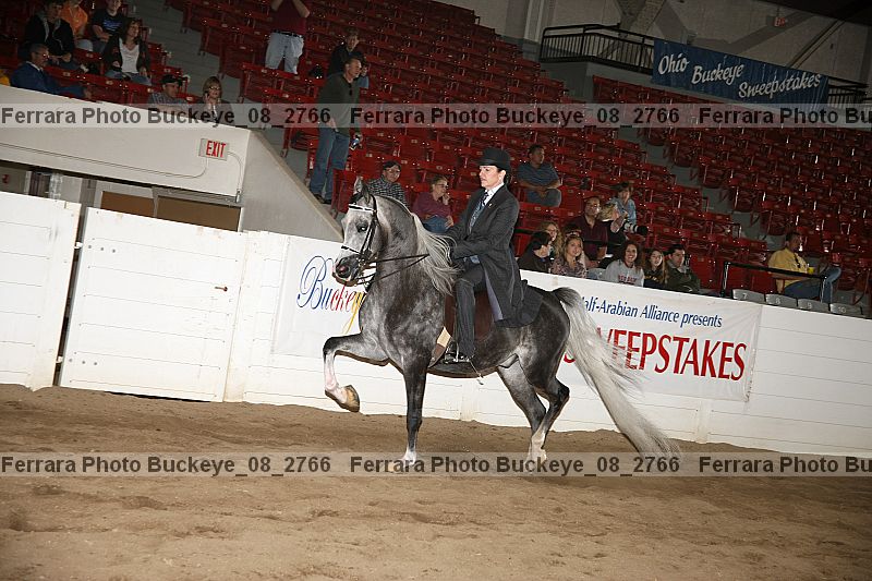 Proof Number buckeye_08_2766