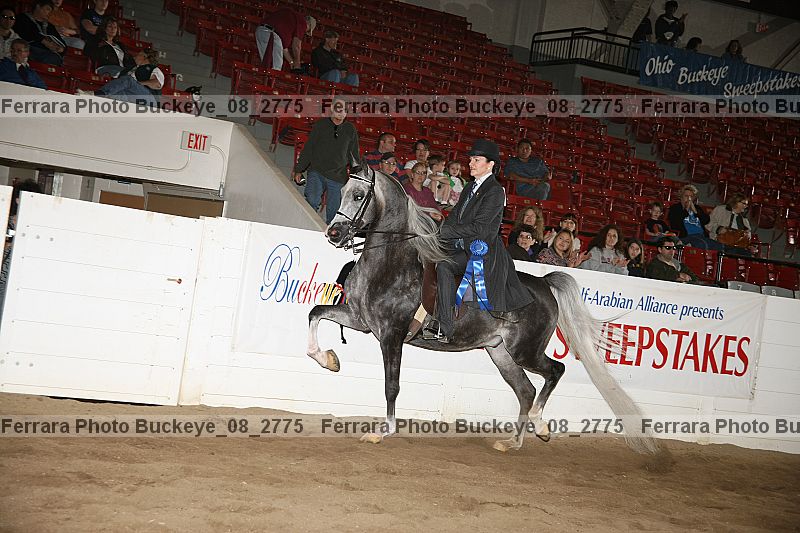 Proof Number buckeye_08_2775