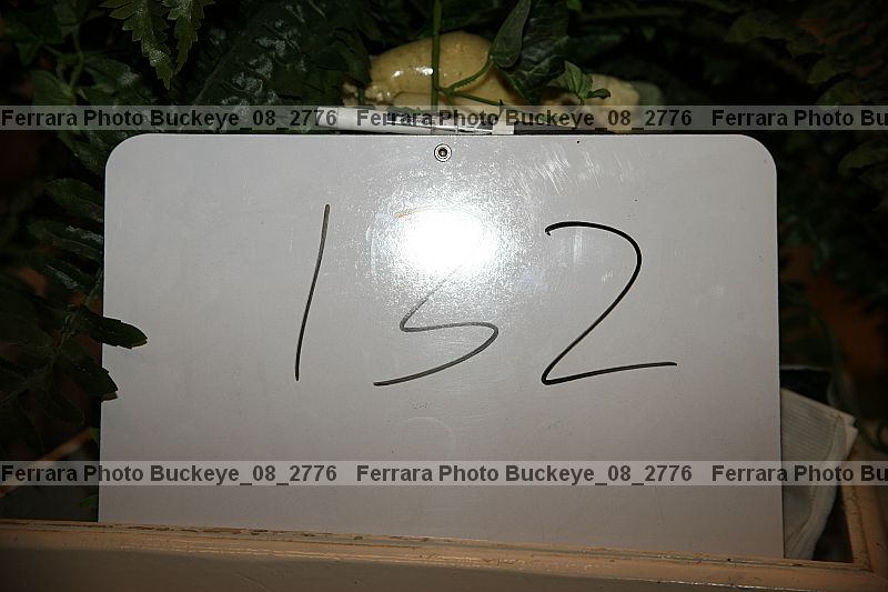 Proof Number buckeye_08_2776