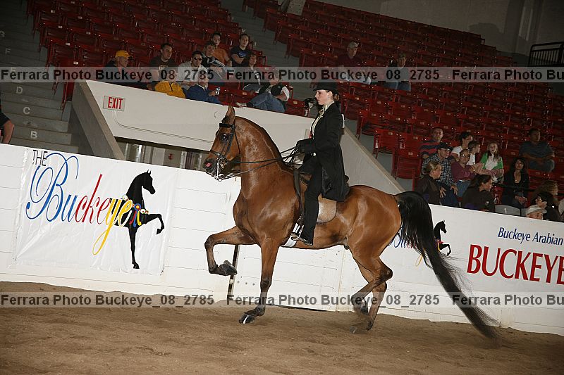 Proof Number buckeye_08_2785