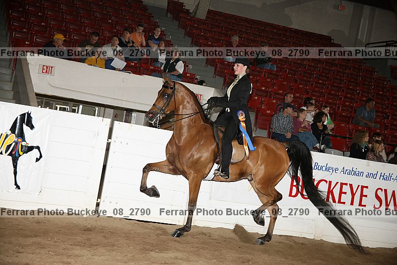 Proof Number buckeye_08_2790