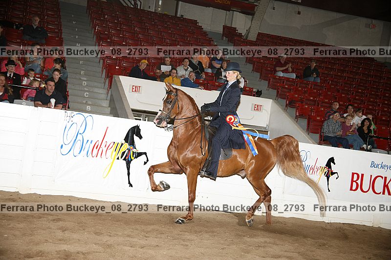 Proof Number buckeye_08_2793