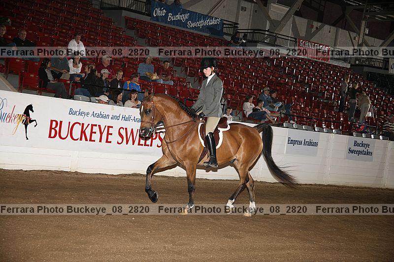 Proof Number buckeye_08_2820