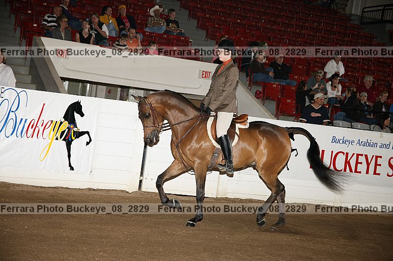 Proof Number buckeye_08_2829