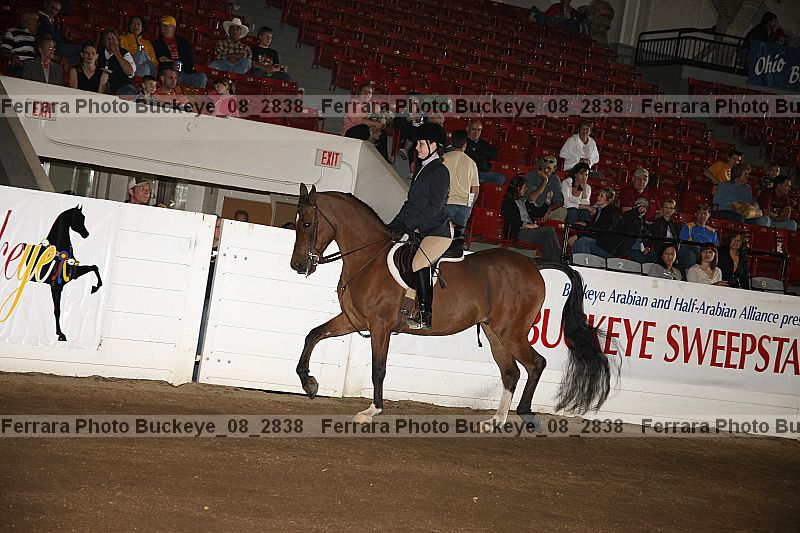 Proof Number buckeye_08_2838