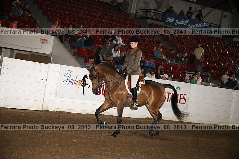 Proof Number buckeye_08_2843