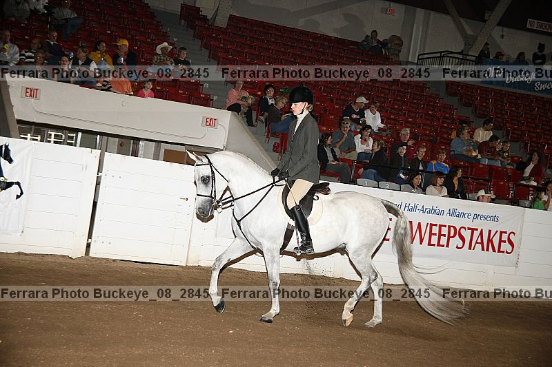 Proof Number buckeye_08_2845