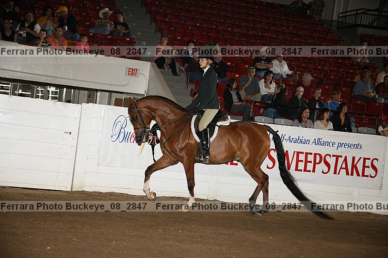 Proof Number buckeye_08_2847