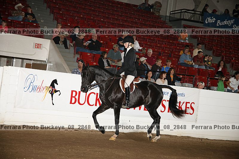 Proof Number buckeye_08_2848