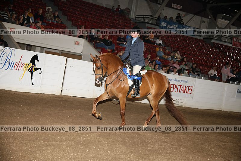 Proof Number buckeye_08_2851