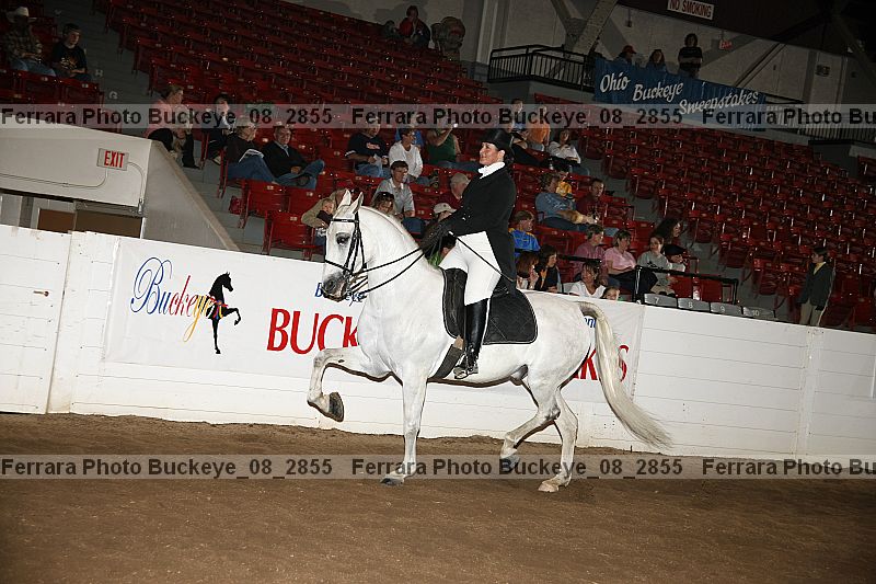 Proof Number buckeye_08_2855