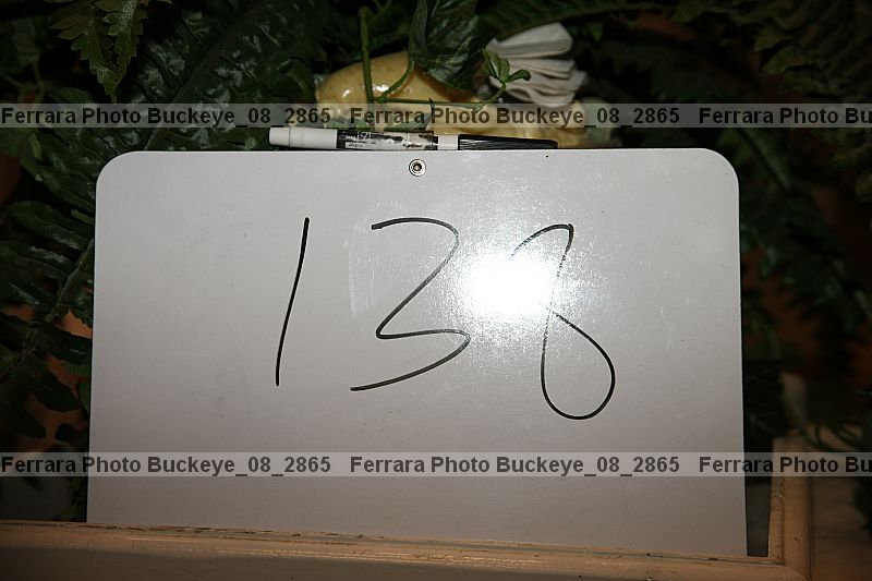 Proof Number buckeye_08_2865