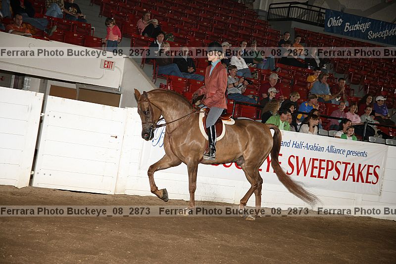 Proof Number buckeye_08_2873
