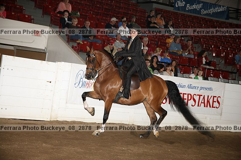 Proof Number buckeye_08_2878