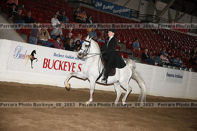 Proof Number buckeye_08_2883